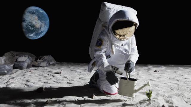 Viajar al Espacio tiene consecuencias.