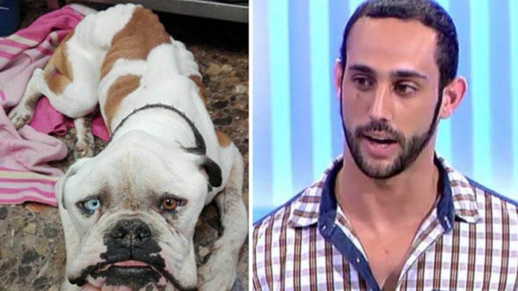 Piden 18 meses de cárcel para Javi C. (‘MYHYV) por dejar morir a su perro de hambre