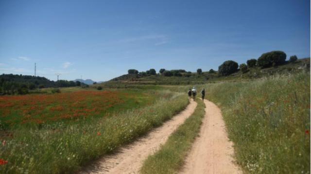 Digital Castilla