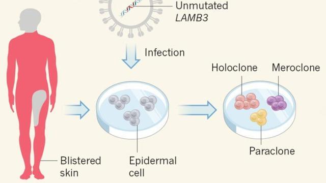 Solo conservaba una parte de la piel del muslo intacta.