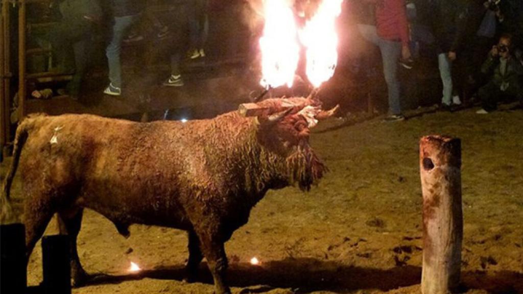 Imagen de archivo de un festejo del Toro Jubilo
