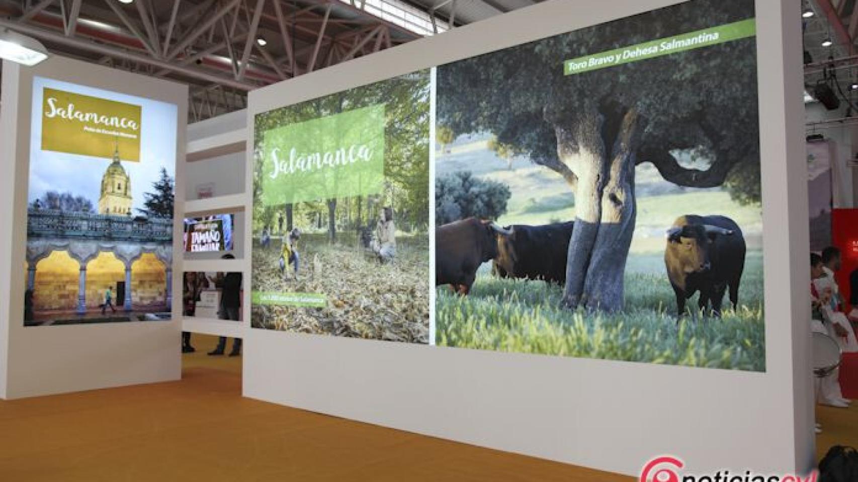 Estand del Patronato Provincial de Turismo de Salamanca