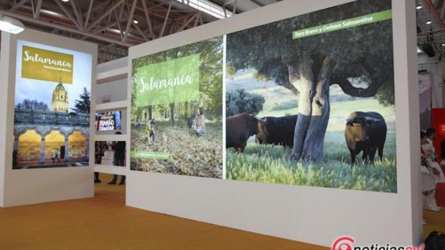 Estand del Patronato Provincial de Turismo de Salamanca