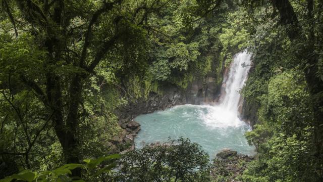 La catarata, en la que está prohibido el baño, es el principal atractivo de Río Celeste.