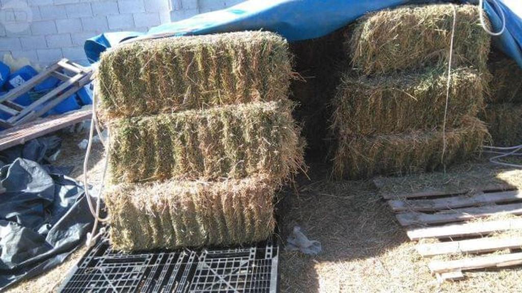 Pacas de paja.