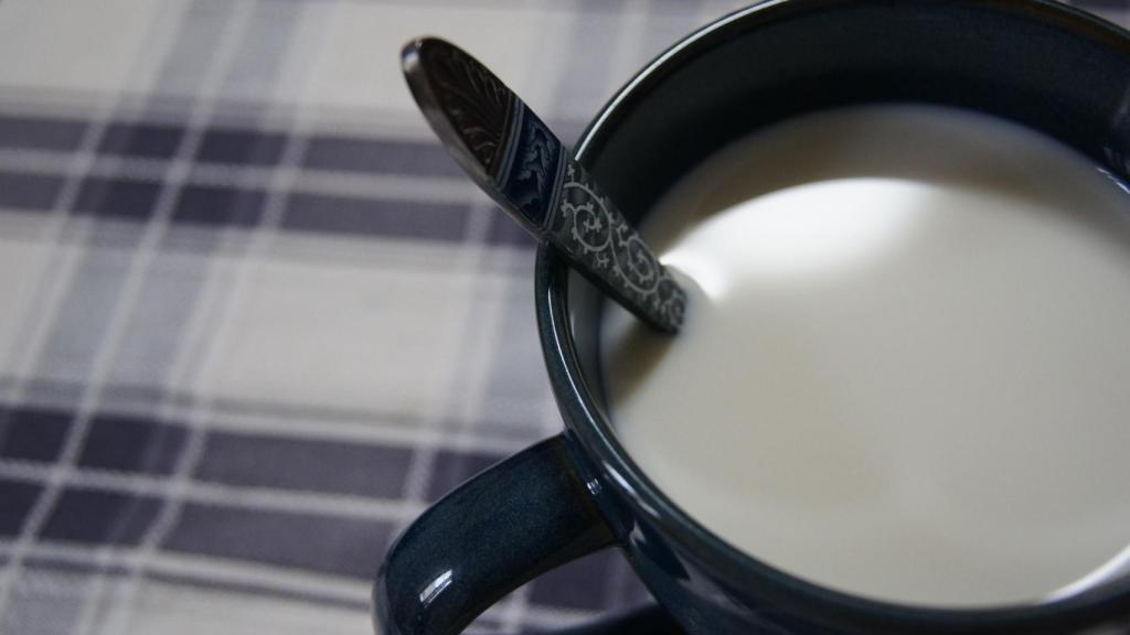 Con la colaboración del Instituto Puleva de Nutrición