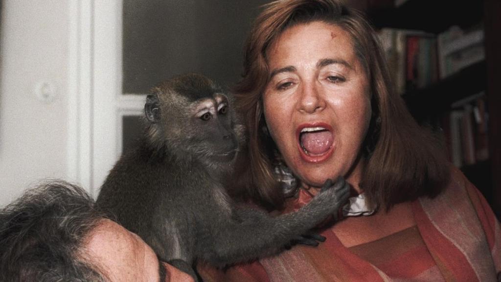 Fotograma de Muchos hijos, un mono y un castillo.