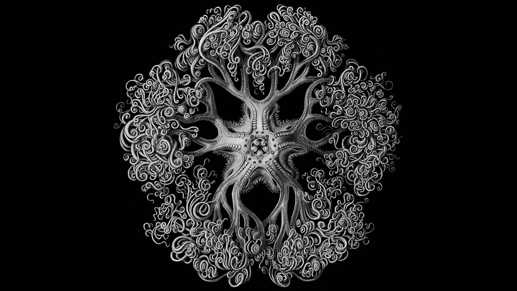Ernst Haeckel, el arte al servicio de la ciencia