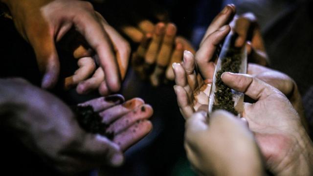 Usuarios de marihuana.