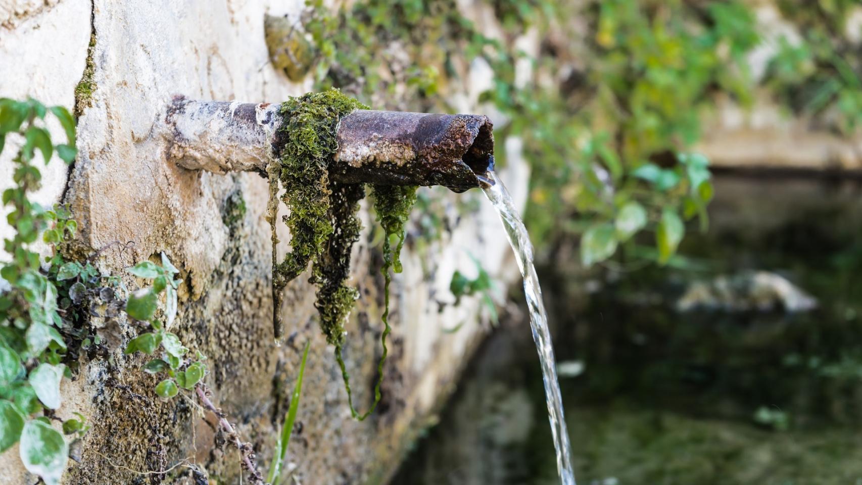 Un caño expulsa agua de un manantial subterráneo.
