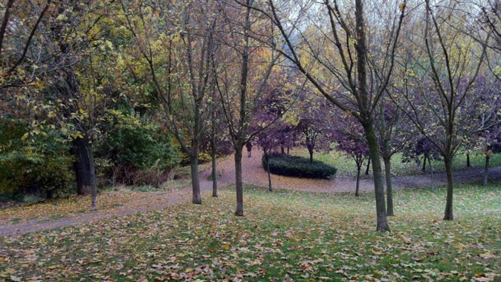 Parque Ribera de Castilla