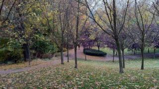 parque-ribera-de-castilla-atropellado-herido-grave