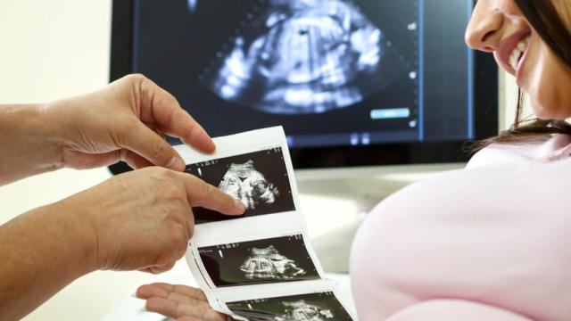 España es líder en reproducción asistida.