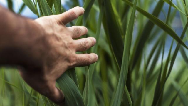 Algunas ‘startups’ están poniendo su granito de arena para crear un mundo más sostenible.