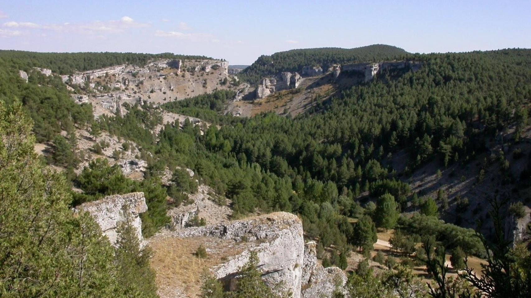 parque natural