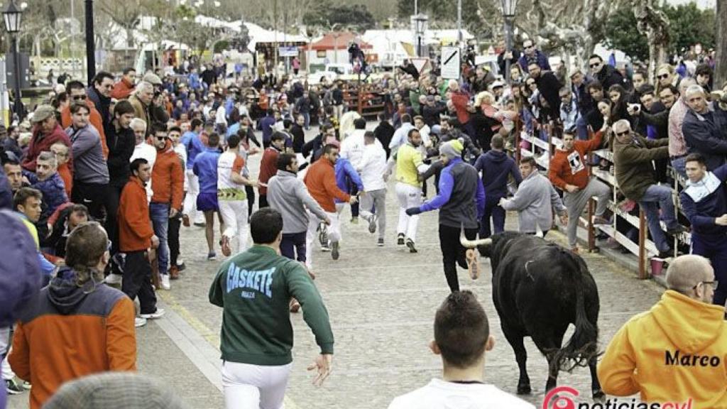 encierro lunes carnaval ciudad rodrigo (17)