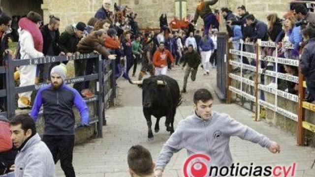 Encierro del Carnaval del Toro de Ciudad Rodrigo./ Archivo/Fiz