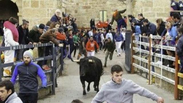 Encierro del Carnaval del Toro de Ciudad Rodrigo./ Archivo/Fiz