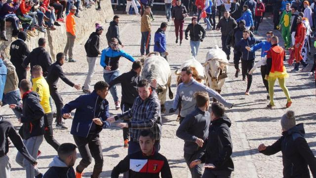 Un encierro en el Carnaval del Toro de Ciudad Rodrigo