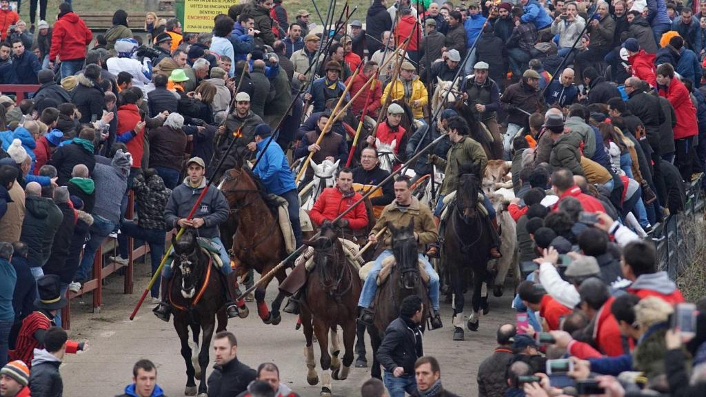 encierro caballo ciudad rodrigo 9