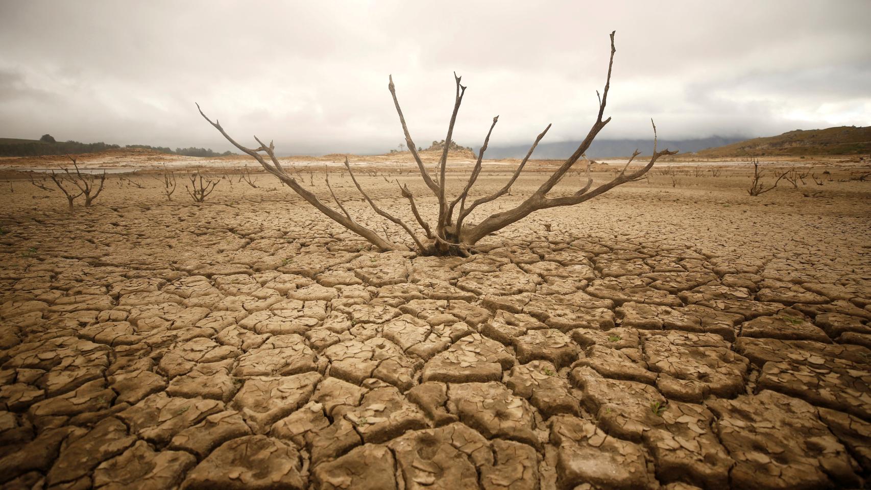 El lecho de Theewaterskloof dam, el principal embalse de Ciudad del Cabo. REUTERS/Mike Hutchings.