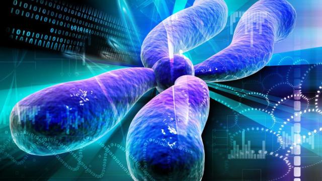 Recreación de la secuenciacion de un tumor.