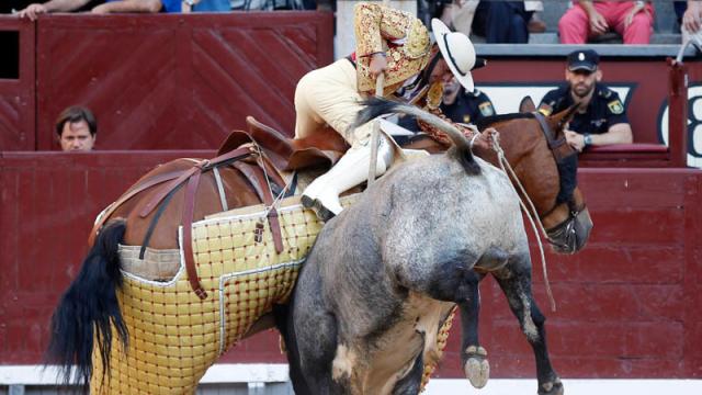 Un toro recibe un puyazo en Las Ventas, una de las suertes que pretende cambiar Tauromaquias Integradas
