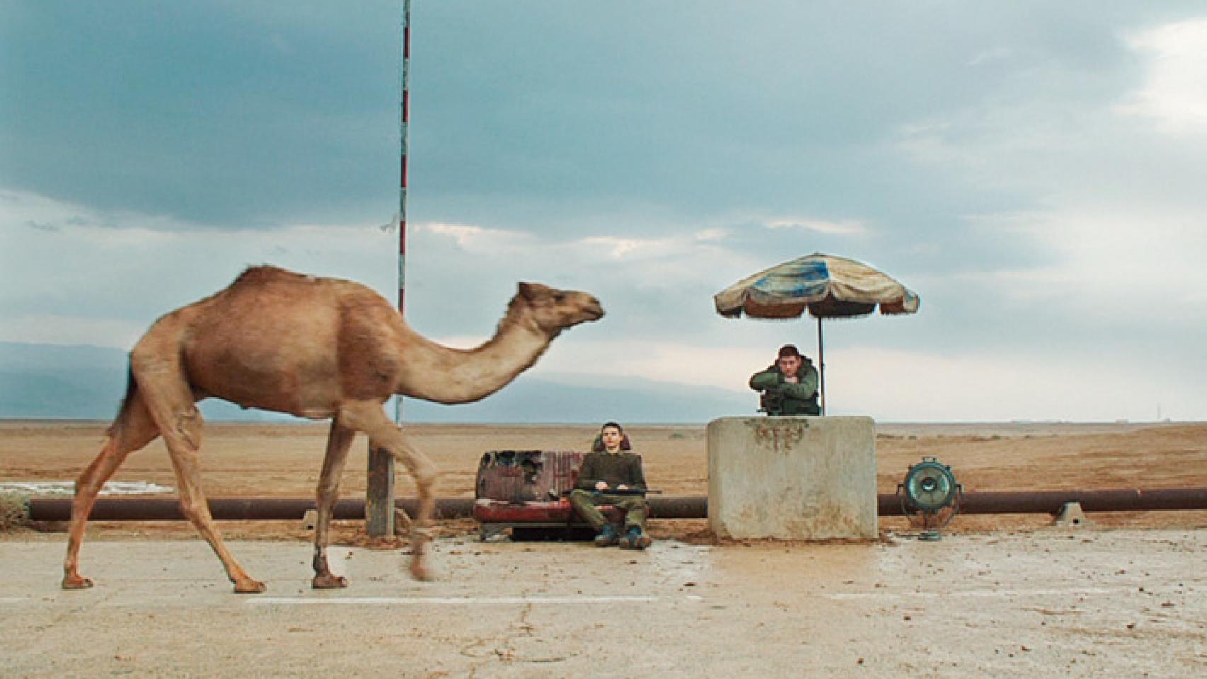 Las películas que no te puedes perder este fin de semana