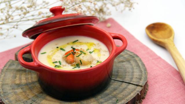 CREMA DE COLIFLOR CON MANZANA Y VIEIRAS CON TMX Portada