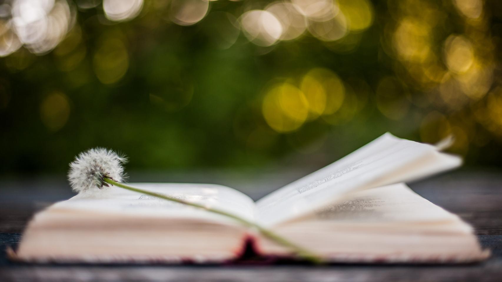 Elaborado por Marcas Ñ.