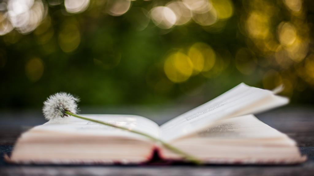 Elaborado por Marcas Ñ.