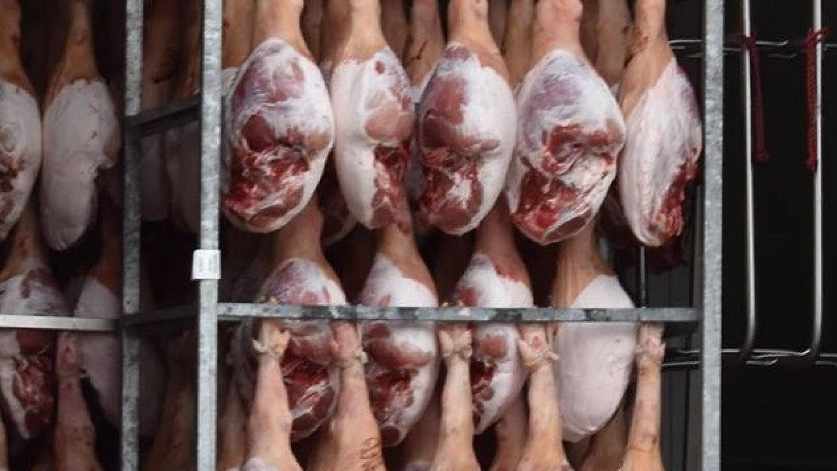 industria guijuelo jamon