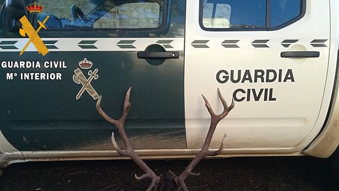 palencia ciervo guardia civil