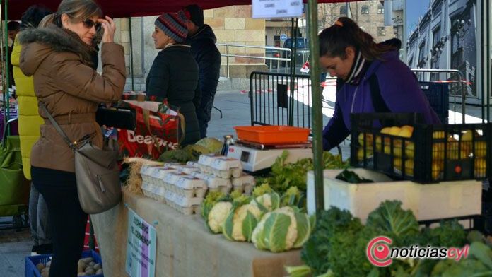zamora mercado ecologico (5)