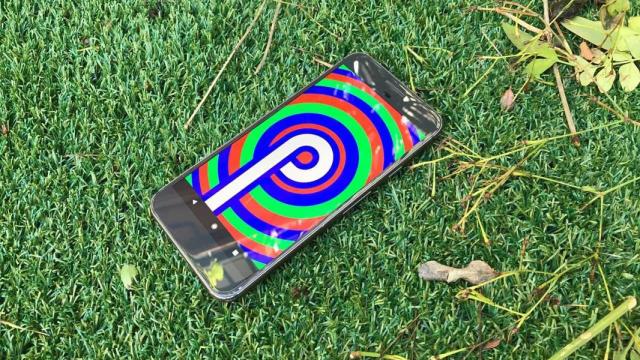 Curiosidades sobre la fragmentación de Android que nadie te había contado