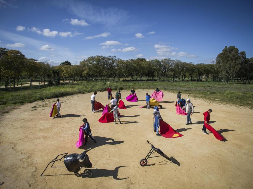 Alumnos de la Escuela Taurina Sevilla Amate practicando en un descampado ante la carencia de plaza, desmantelada en 2012 por no poder hacer frente a sus gastos.