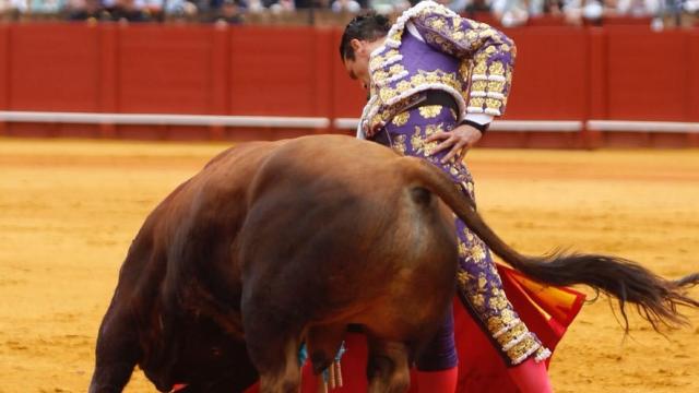 Derechazo de Manzanares al enclasado 'Manzanilla'