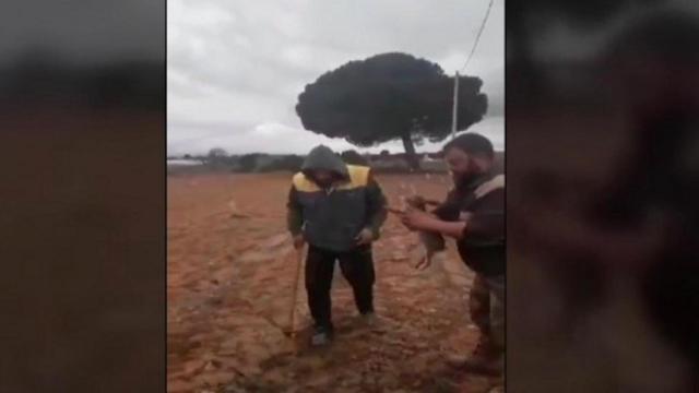 Agricultores se graban mientras siembran conejos muertos