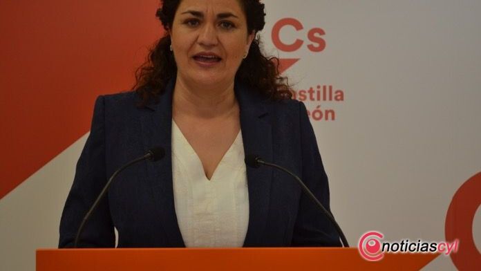 angeles rincon boecillo valladolid ciudadanos 1