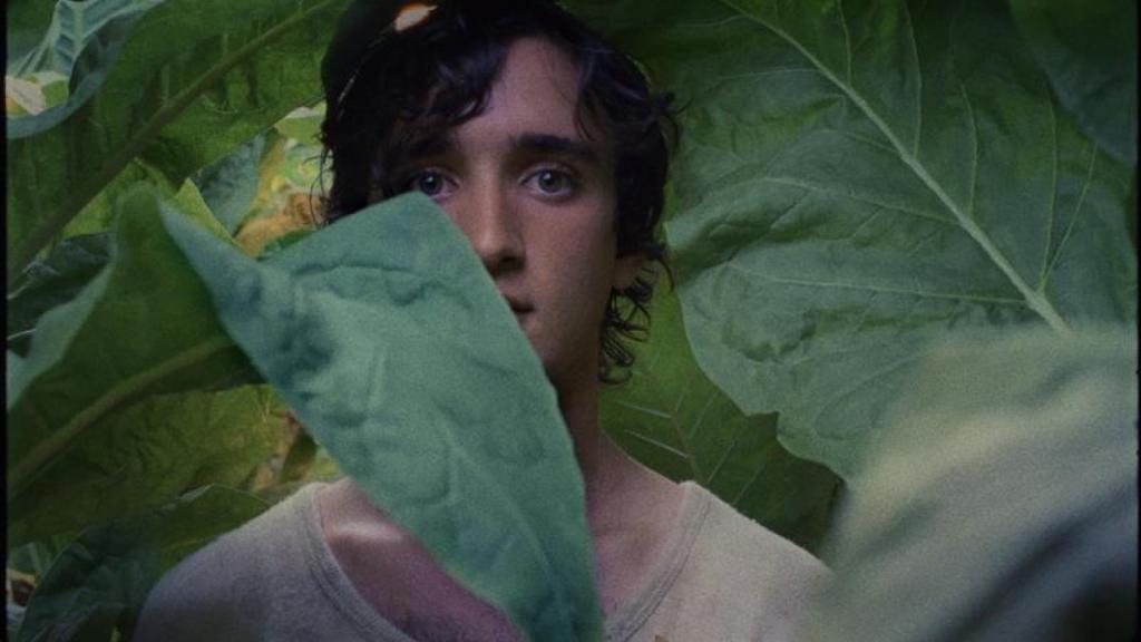 Fotograma de la película.