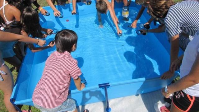 campamentos de verano