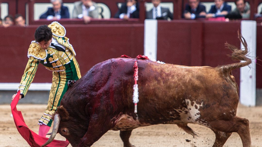 juan del alamo ventas