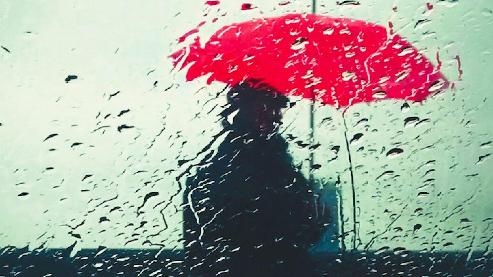 Imagen de la novela 'Patria' (Tusquets)