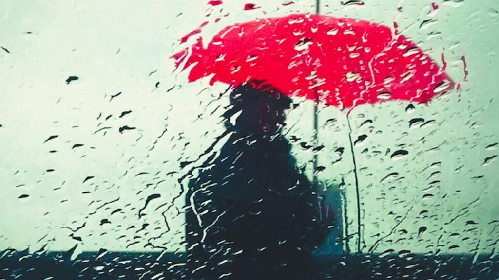 Imagen de la novela 'Patria' (Tusquets)