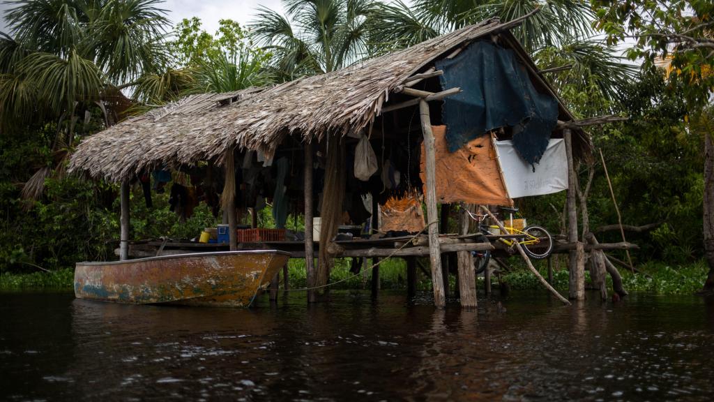 Un palafito es una precaria vivienda de madera sin paredes que se construye sobre un río.