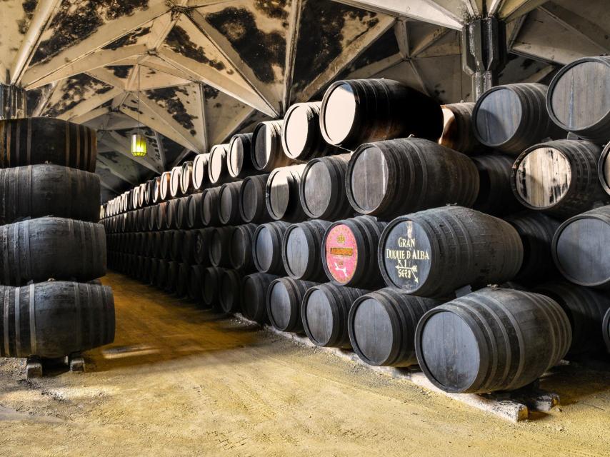 Bodega de brandy de Williams&Humbert.