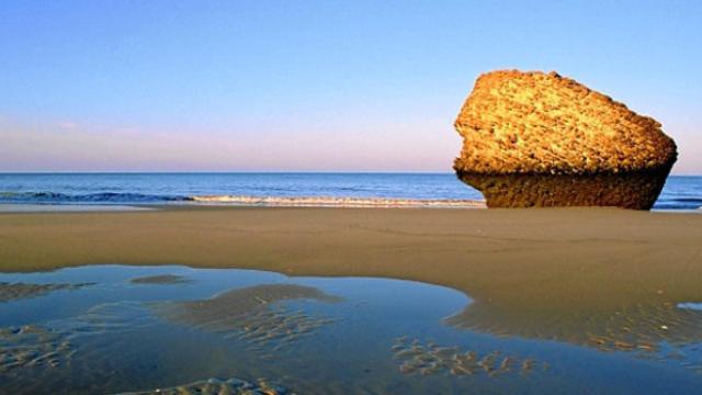 Playa de Matalascañas.