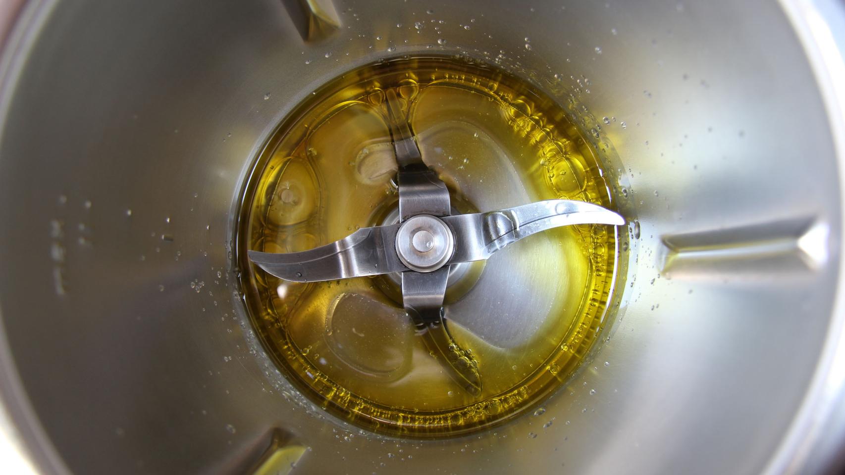 COCA NEGRA CON VERDURAS Y LANGOSTINOS CON TMX 01