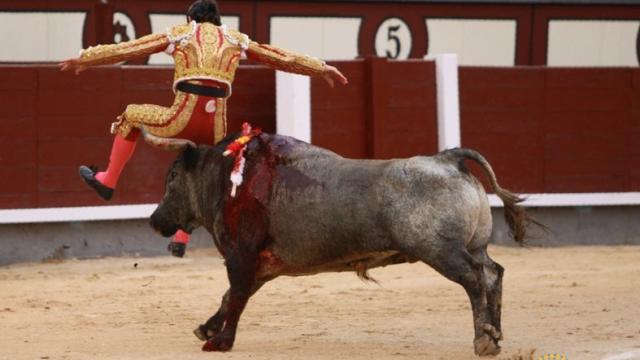 El toro 'Saladora', a punto de cornear a Sebastián Ritter