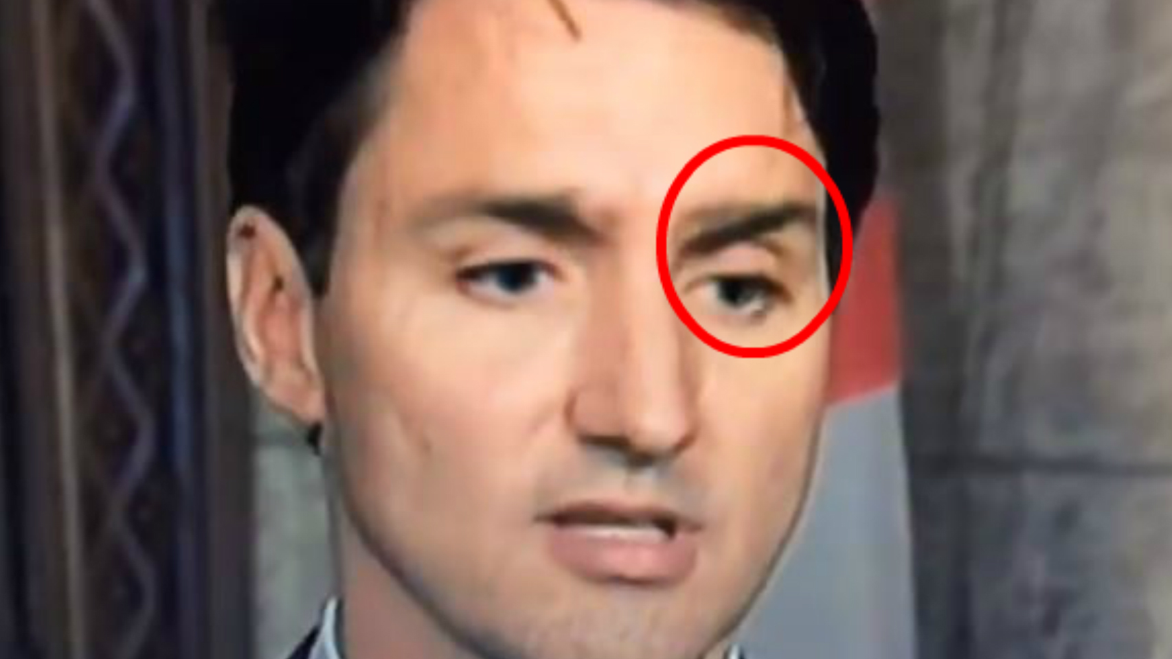 Las ceja de la polémica.